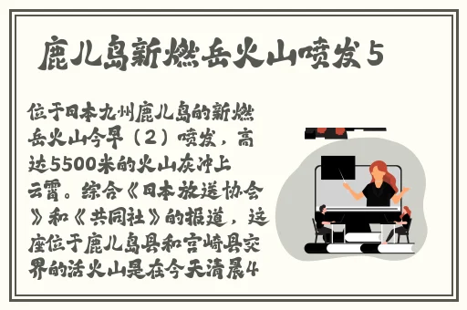 趣夜视频app